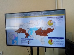 Явка на довыборах в Саратове составляет 3,6%