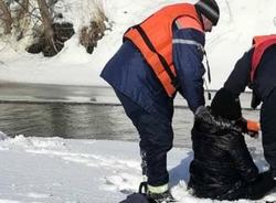 Спасатели успели достать провалившуюся под лед девочку