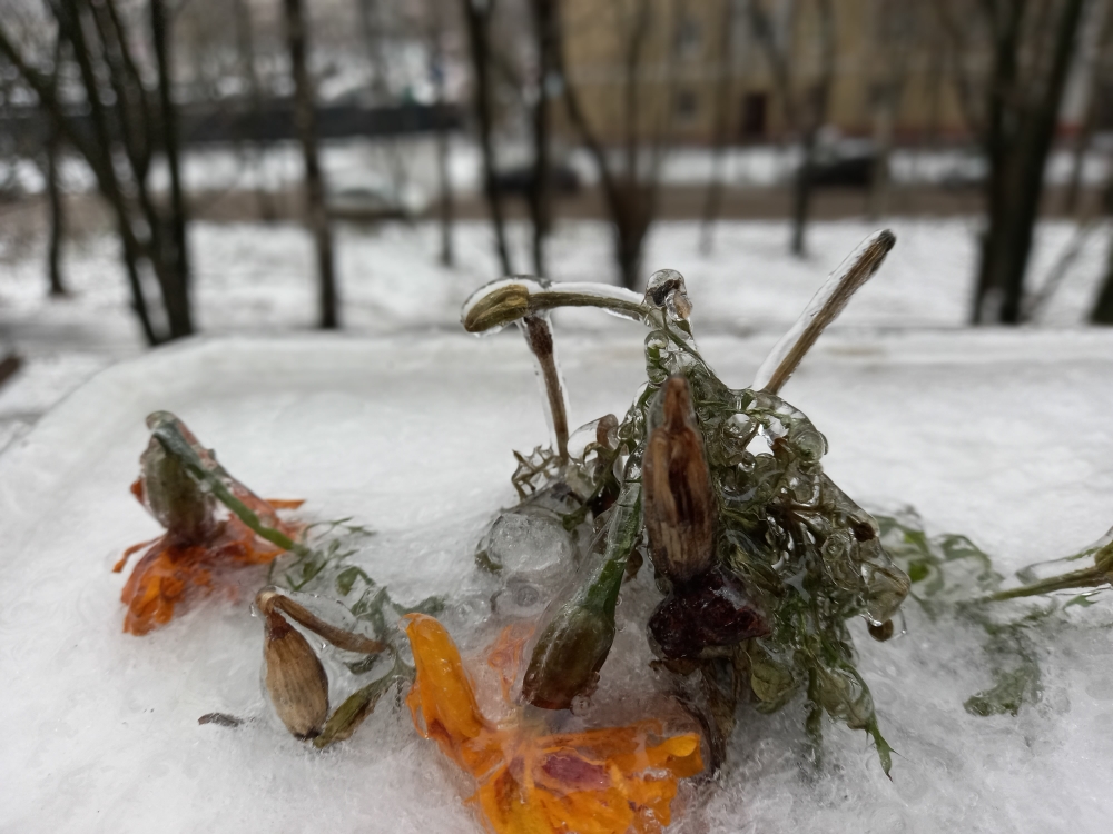 Курск накрыло ледяным дождём