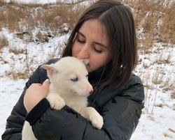 Горожане забрали к себе семь собак из приюта 'Дорстроя'