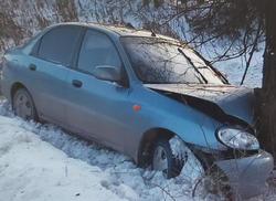 Из врезавшегося в дерево 'Шанса' в больницу увезли двух взрослых и двух детей