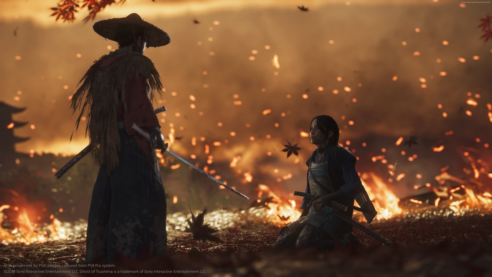 Ghost of Tsushima получила «взрослый» рейтинг — в игре нашли «оголённые ягодицы мужчины»