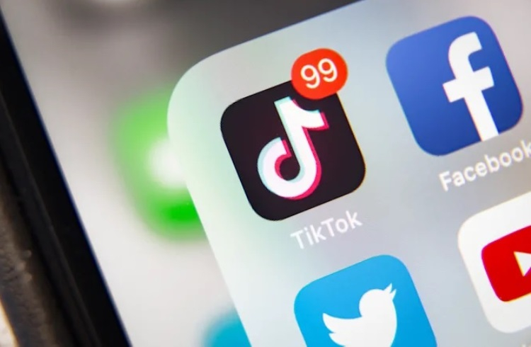 Пакистан снова запретил TikTok из-за непристойного контента