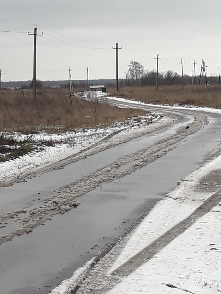 Не вынесли: жители района против прогулок с мусором