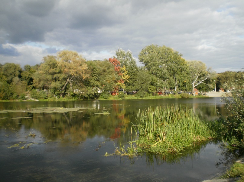 Курск вошёл в тройку городов России, участвующих в City Nature Challenge