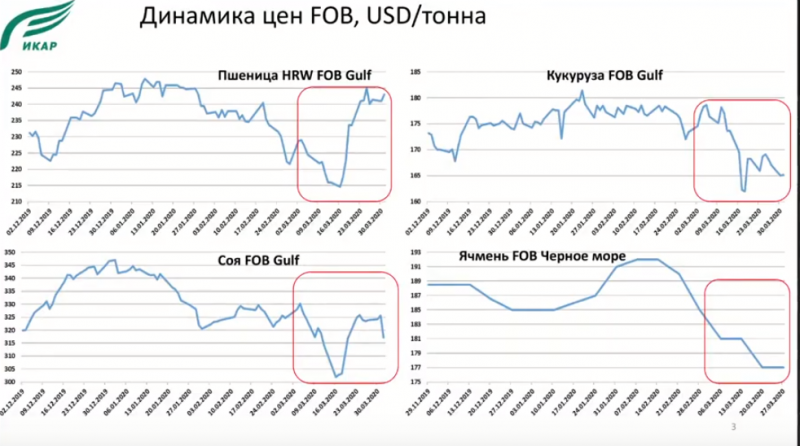 Психоз и пожар: как коронавирус влияет на рынки зерна и масличных?