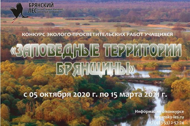 Заповедник «Брянский лес» объявил о новом конкурсе