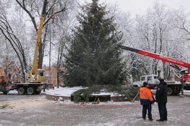 В Брянске установили главную городскую ёлку в сквере Карла Маркса