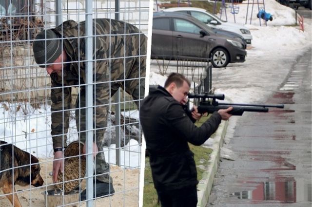 Не догхантеры, а дорожники. В Брянске появился приют для собак