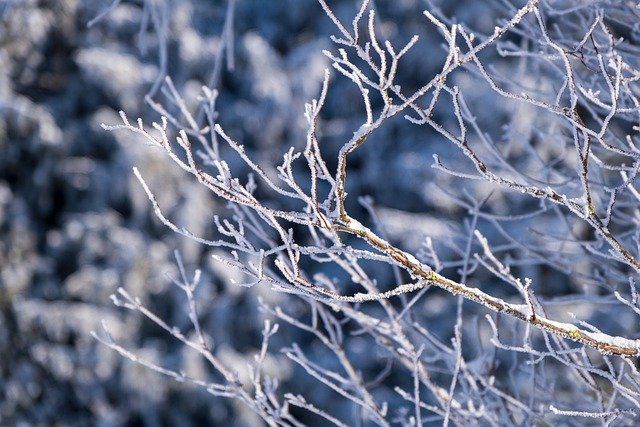 Брянцам прогнозируют снег и до -13ºC холода в среду