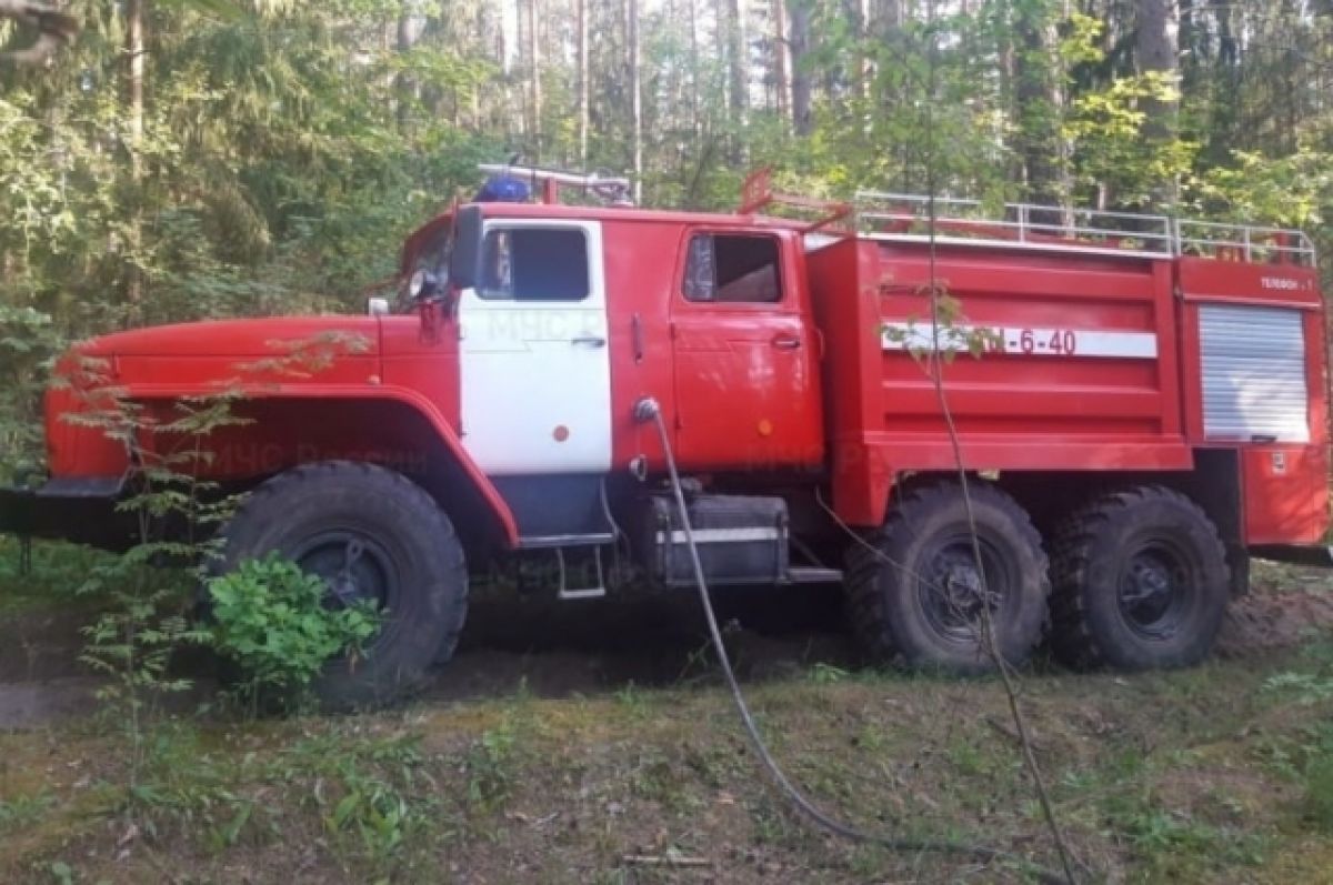 В Брянском военном лесничестве возник пожар