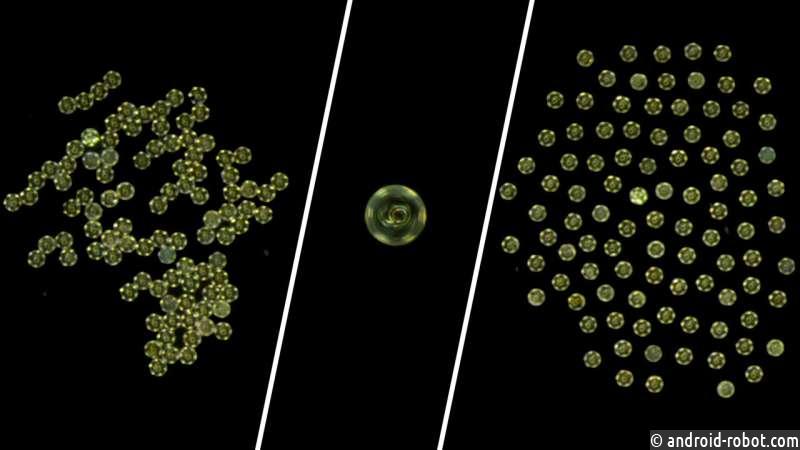 Коллективы микророботов демонстрируют универсальные модели движения
