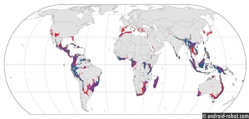 Новая глобальная карта биоразнообразия муравьев показывает области, в которых могут скрываться неизвестные виды