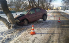 В Локте легковушка угодила в дерево