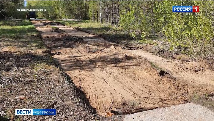 В Костромской области неизвестные разобрали и вывезли дорогу