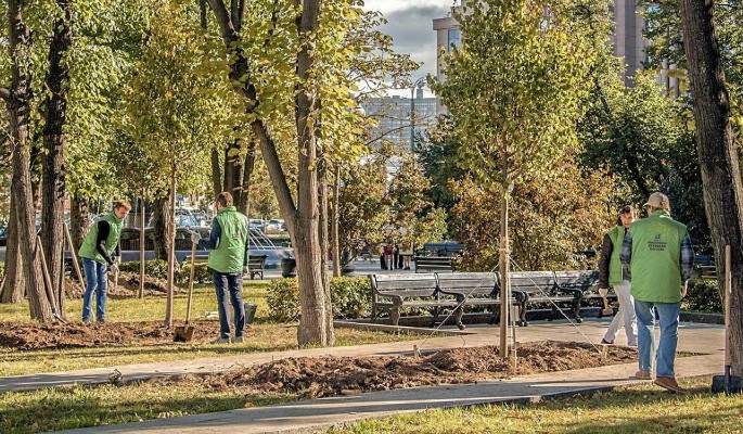 На Ленинградском проспекте в Москве высадили почти 500 деревьев и больше трех тысяч кустарников