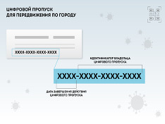 Все ответы о цифровых пропусках для поездок в Москве и Подмосковье