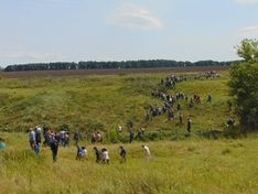 Пропавшую в Тульской области школьницу нашли мертвой