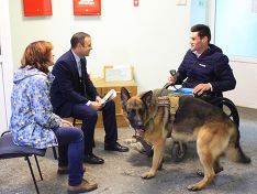 В Петербурге предложили приравнять собак-помощников к поводырям