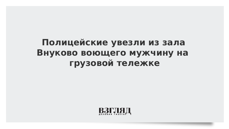 Полицейские увезли из зала Внуково воющего мужчину на грузовой тележке