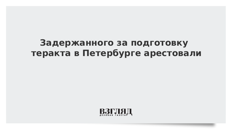 Задержанного за подготовку теракта в Петербурге арестовали