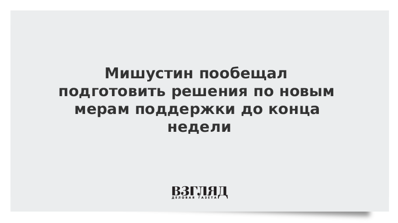 Мишустин пообещал подготовить решения по новым мерам поддержки до конца недели