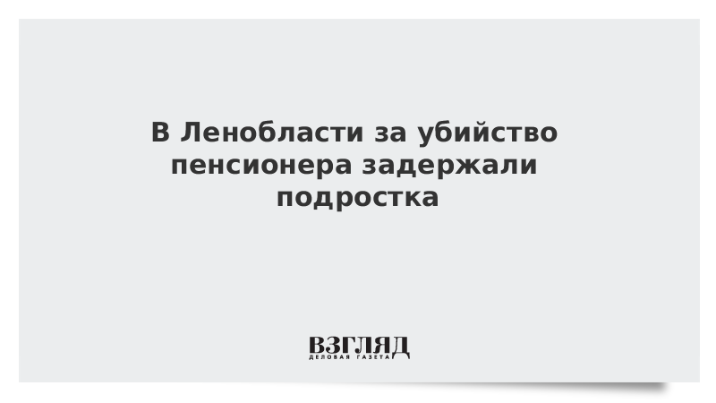 В Ленобласти за убийство пенсионера задержали подростка