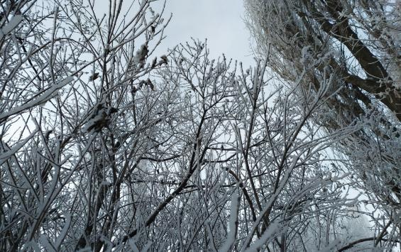 Столбики термометров могут опуститься до -12°C