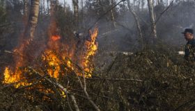 Троих забайкальских чиновников осудили за мошенничество на 1,2 млн рублей при тушении пожаров