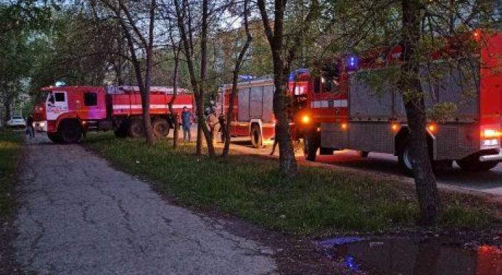 Пензенские пожарные спасли маленьких детей из огня