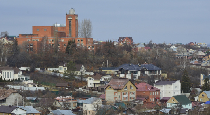 Городскую улицу назовут в честь пензенской поэтессы Ларисы Яшиной