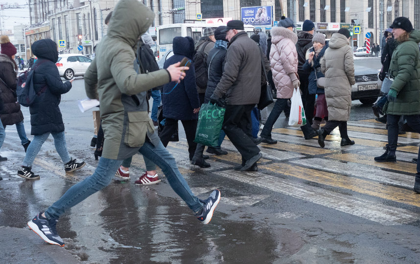 От соли в Петербурге страдают животные и обувь