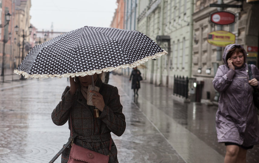 Погода в Петербурге: ещё немного надо потерпеть дожди, 'плюс' и ветер