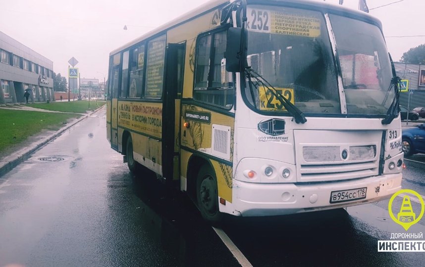 Водителю маршрутки, сбившему пенсионерку на переходе в Петербурге, вынесли приговор