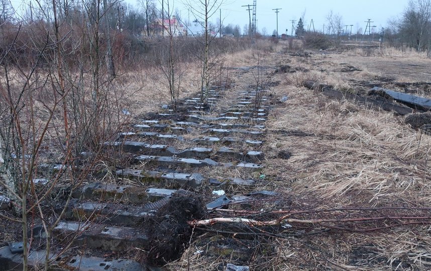 В Ленобласти с железнодорожной станции вынесли 6 тонн деталей