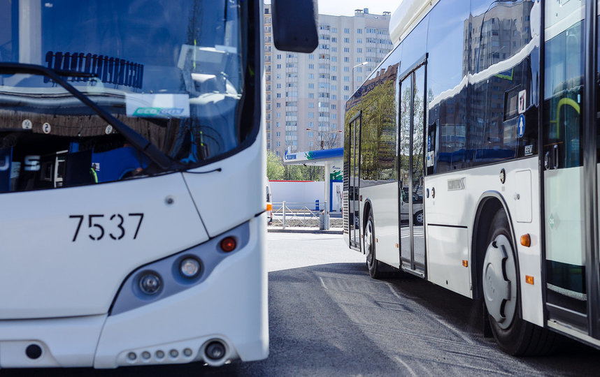 В Петербурге усилят движение автобусов: маршруты