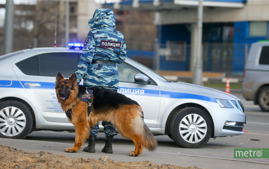 ДТП с участием пяти машин в Москве: среди пострадавших – экс-пиар директор Black Star