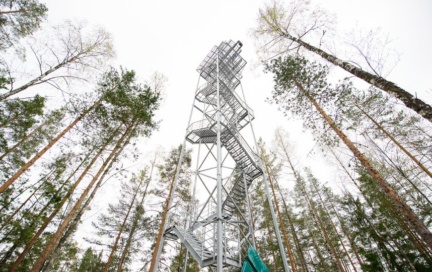 Доступный активный отдых в Ленинградской области: верёвочные парки Norway Park «Орех» и «Окунёвая» открыты ежедневно