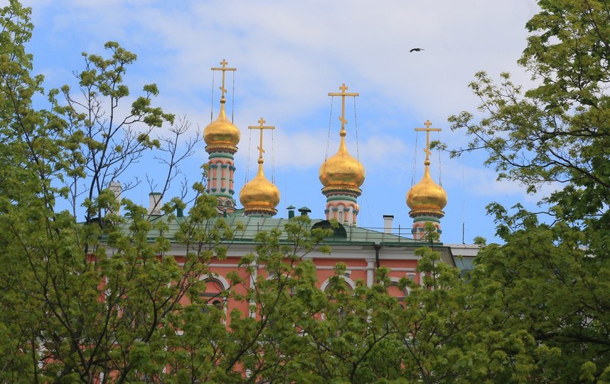 В какие музеи Москвы и области можно сходить бесплатно