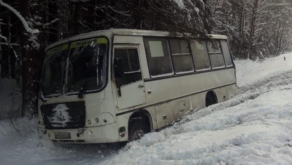 В Ленобласти столкнулись два автобуса: как произошла авария и сколько пострадавших