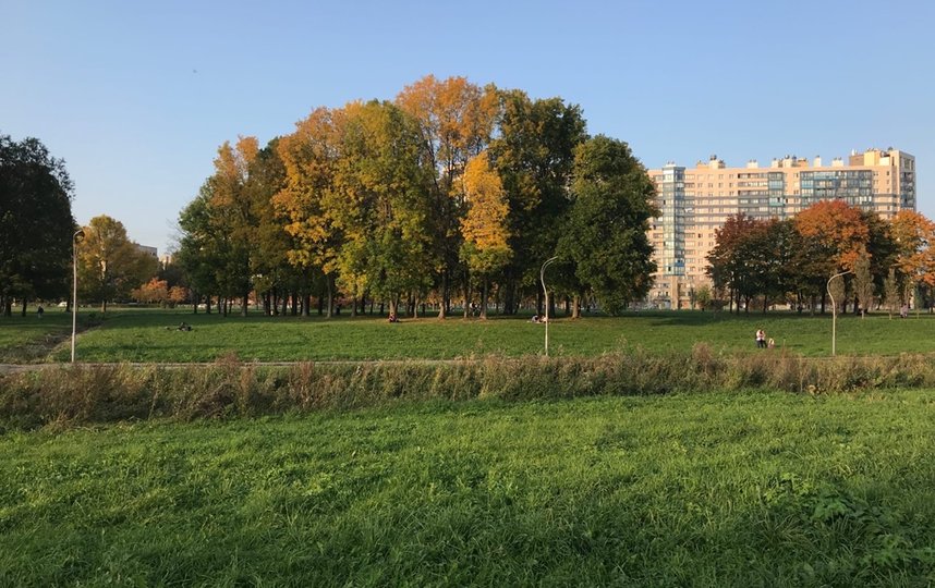 Битва за Муринский парк в Петербурге закончена. Что будет дальше