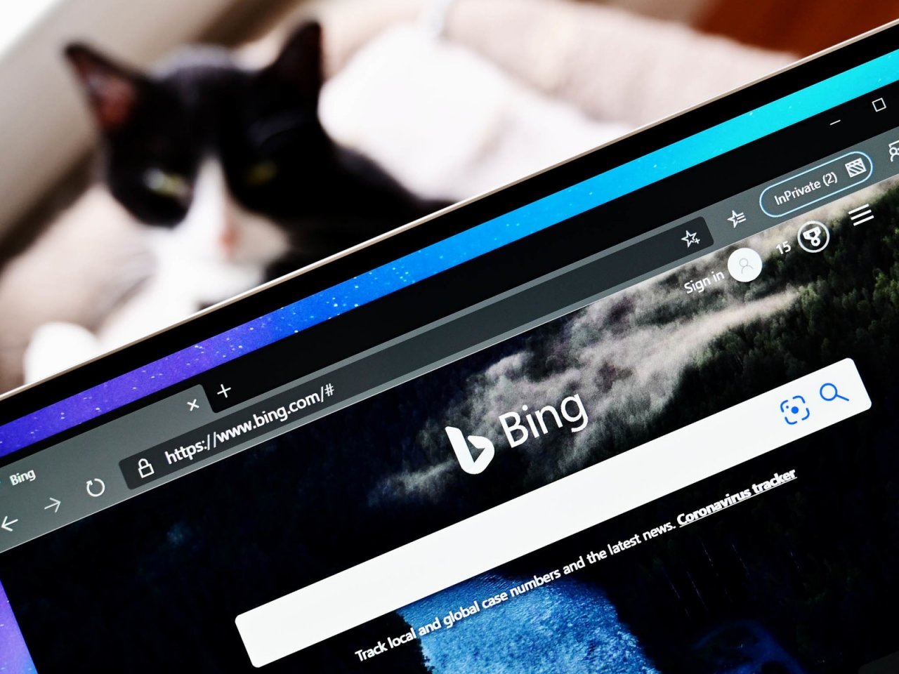 Bing получил новый логотип в стиле Fluent Design