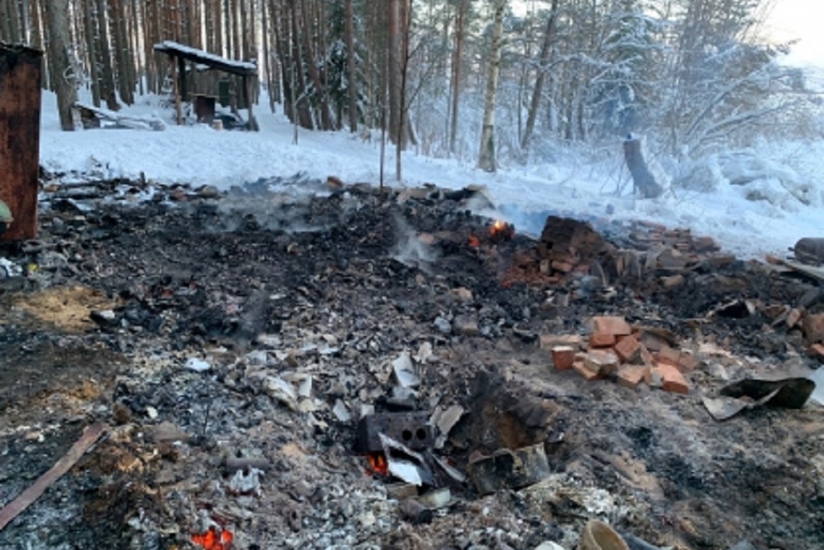 Останки мужчины нашли на острове в Тверской области