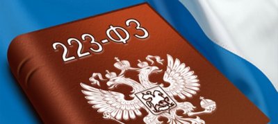 Субъекты, работающие по 223-ФЗ, смогут использовать «Портал поставщиков» при осуществлении закупок малого объема