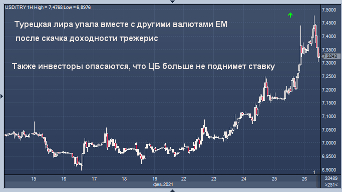 Турецкая лира теряет 5% за неделю