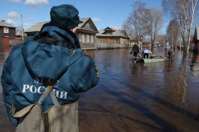 В Брянской области назвали самые паводкоопасные реки