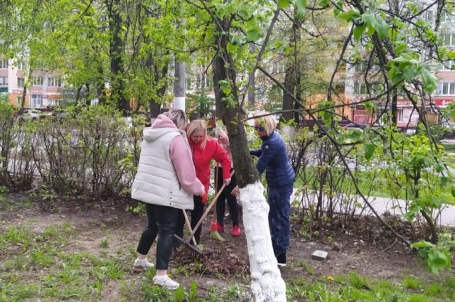 Жители Брянска устраняют последствия урагана на субботниках