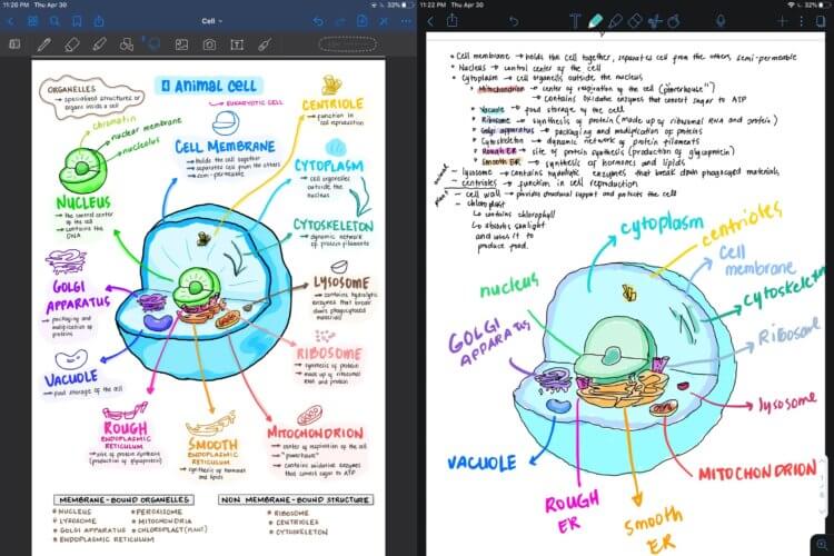 5 крутых приложений для создания конспектов на iPad