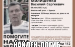 Брянский пенсионер найден погибшим