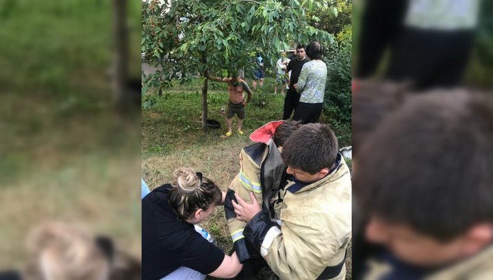 Прохожий спас провалившегося в канализационный люк мальчика